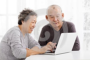 Senior Couple Using Laptop in living room