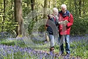 Senior Couple On Walk Through Bluebell Wood Looking At Map