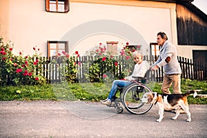 Invalidní vozík na chůze pes 
