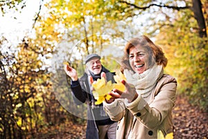 Senior couple on a walk in a forest in an autumn nature, holding leaves.