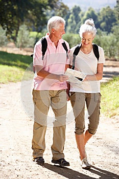 Senior couple walking along reading map