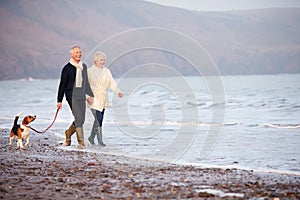 Senior Couple Walking Along Winter Beach With Pet Dog