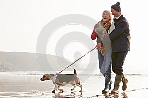 Senior Couple Walking Along Winter Beach With Pet Dog