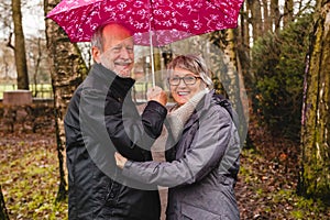Senior couple walking in autumn forest with pink umbrella
