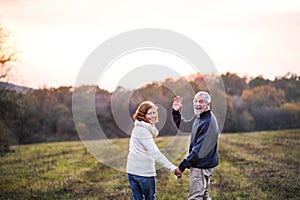 Senior couple walking in an autumn nature, holding hands.