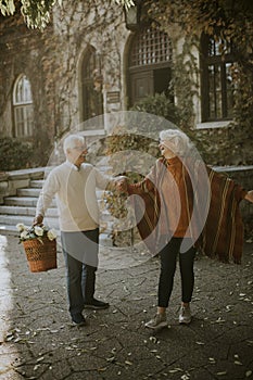 Senior couple walking with basket full of flowers and groceries in autumn park