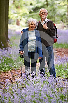 Senior Couple Walking Through Bluebell Wood