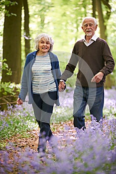 Senior Couple Walking Through Bluebell Wood