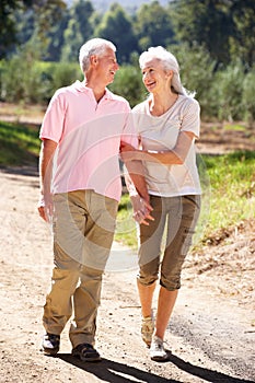 Senior couple walking in country