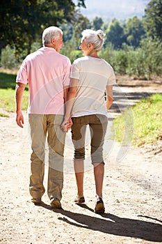 Senior couple walking in country