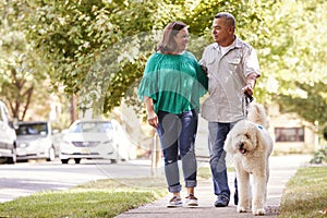 Senior Couple Walking Dog Along Suburban Street