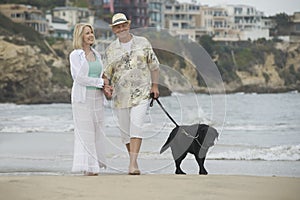 Senior Couple Walking With Dog At Beach