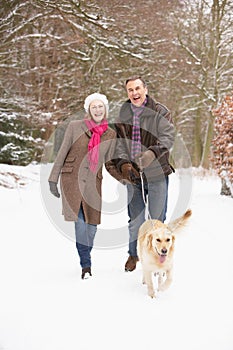 Senior Couple Walking Dog Through Snowy Woodland