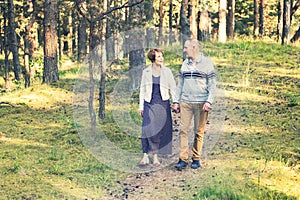 Senior couple walking on forest trail holding hands