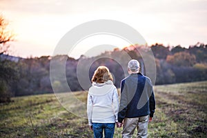 Senior couple walking in an autumn nature, holding hands.