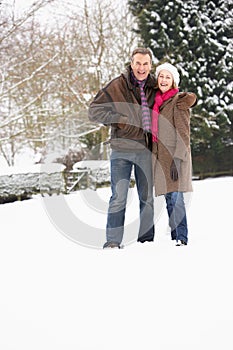 Senior Couple Walking In Snowy Landscape