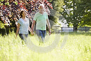 Senior Couple Walking In Summer Countryside