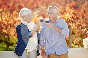 Senior couple, wine tasting and drink together for memories, relationship and retirement on vineyard. Toasting, man and