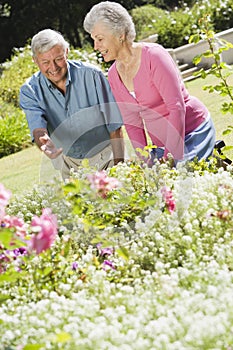 Senior couple working in garden