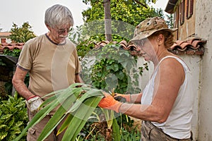 Senior couple working in the garden together helping each other