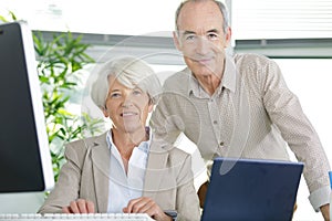 Senior couple working with pc