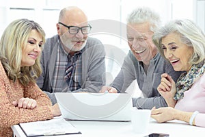 Senior couples playing computer game