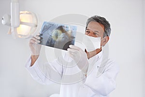 Senior dentist, man and xray of teeth for dental surgery, healthcare and oral health with face mask in clinic. Medical