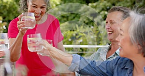 Senior diverse group of women enjoying a toast outdoors