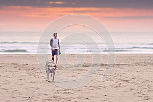 Senior dog walking on sand