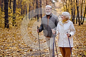 senior elderly grandmother grandfather training Nordic walking with ski trekking poles