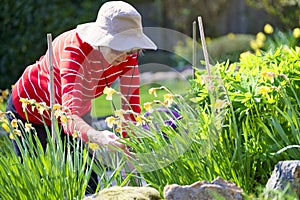 Senior elderly person active lifestyle in garden during bright colourful spring sunshine and summer temperature