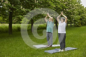 Senior family couple on summer day doing yoga exercises outdoors in the park.