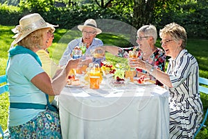 Senior family members picnicking.