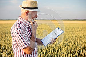 Senior farmer or agronomist filling out questionnaire while inspecting organic wheat field