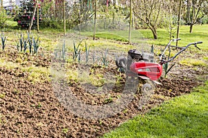 Senior farmer gardener working in the garden with rototiller , tiller tractor, cutivator, miiling machine