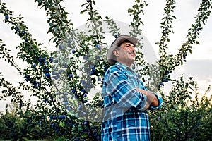 Senior farmer with hat standing in plum orchard, photo