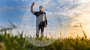 Senior farmer with laptop in wheat field