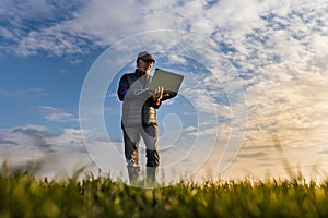 Senior farmer with laptop in wheat field