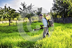 Senior farmer spraying the orchard