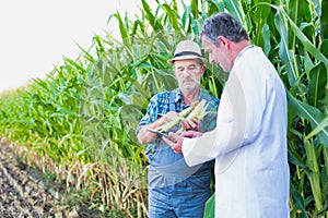 Senior farmer standing and showing corn whilst crop scientist holding digital tablet against corn plant