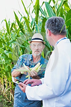 Senior farmer standing and showing corn whilst crop scientist holding digital tablet against corn plant photo