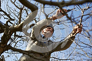 Senior farmer trimming trees