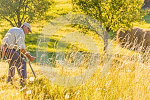 Senior farmer using scythe to mow the lawn traditionally with rural landscape in summer light