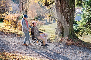 Senior father with wheelchair and his son on walk in nature.