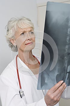 Senior Female Doctor Analyzing X-ray Report