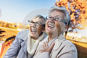 Senior female friends sitting on the bench in the park
