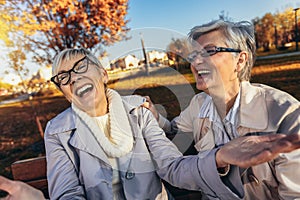 Senior female friends sitting on the bench in the park