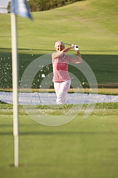 Senior Female Golfer Playing Bunker Shot photo