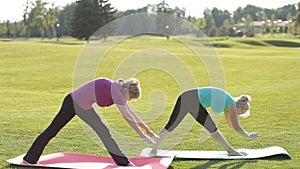 Senior fit women practicing yoga in the park