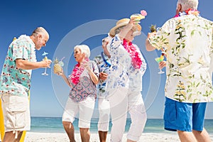 Senior friends drinking cocktails